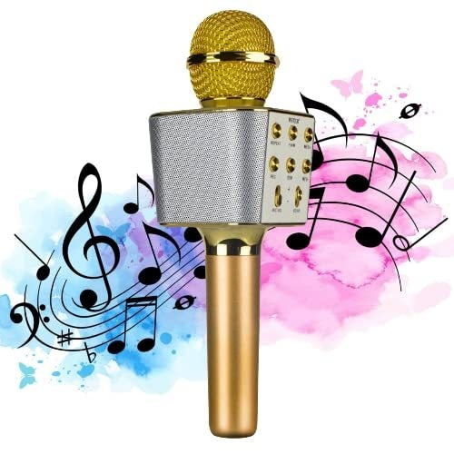 Wireless Bluetooth Karaoke Microphone, 2-in-1 Portable Handheld Mic